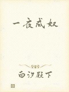 一夜成奴