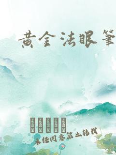 黄金法眼笔趣阁
