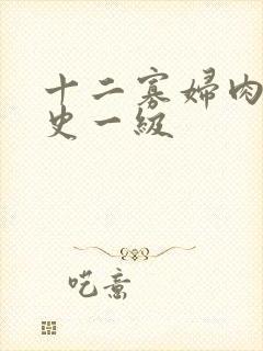 十二寡妇肉床艳史一级
