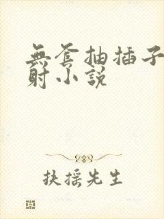 无套抽插子宫内射小说