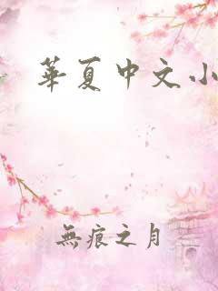 华夏中文小说网