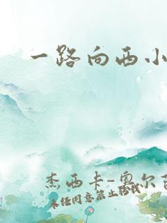 一路向西小说