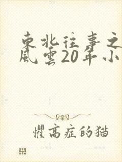 东北往事之黑道风云20年小说
