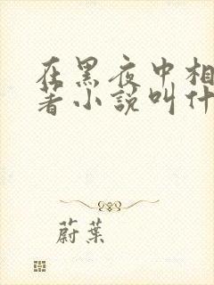 在黑夜中相拥原著小说叫什么