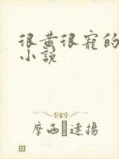 很黄很宠的总裁小说