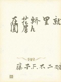 在花轿里就开始圆房h