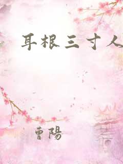 耳根三寸人间