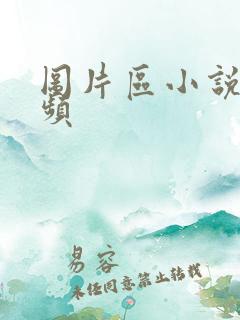 图片区小说区视频