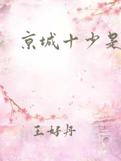 京城十少是谁