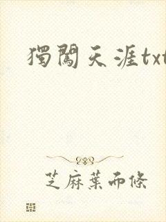 独闯天涯txt