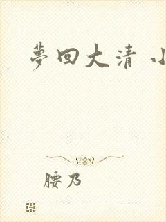 梦回大清 小说