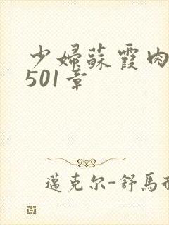 少妇苏霞肉欲第501章