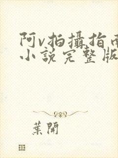 阿v拍摄指南说小说完整版