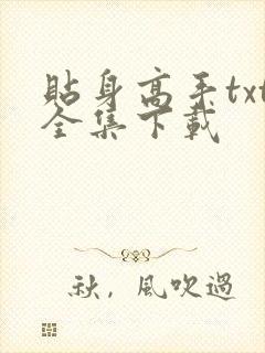 贴身高手txt全集下载
