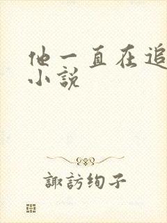 他一直在追初恋小说