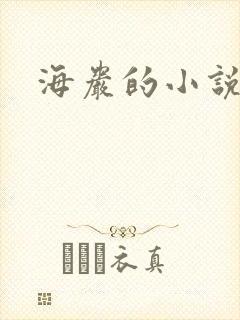 海岩的小说