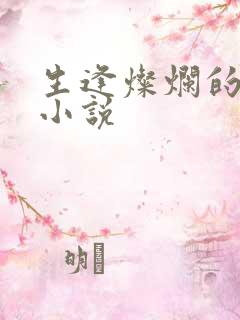 生逢灿烂的日子小说