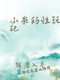 小米的性玩具日记