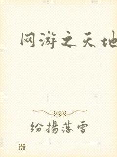 网游之天地下载