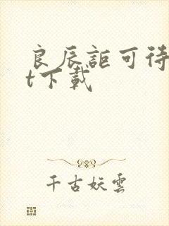 良辰讵可待txt下载