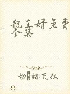 龙王婿免费完结全集