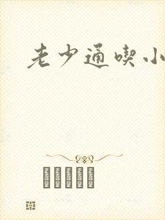 老少通吃小说