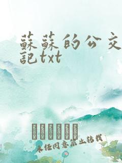 苏苏的公交车日记txt