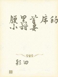 腹黑首席的替身小甜妻