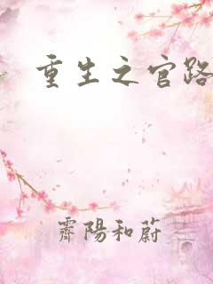 重生之官路情长