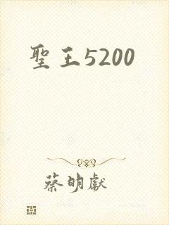 圣王5200