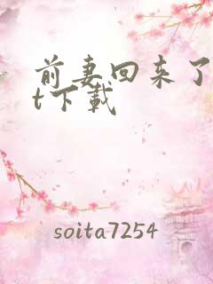 前妻回来了txt下载