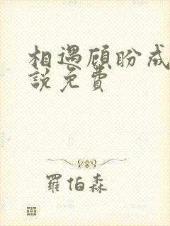 相遇顾盼成欢小说免费