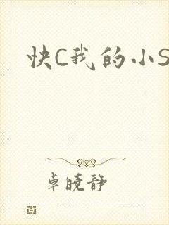 快C我的小SB