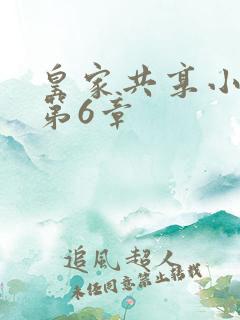 皇家共享小公主第6章