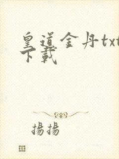 皇道金丹txt下载