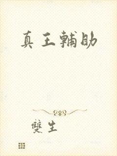 真王辅助
