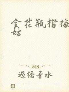 金花瓶楷梅花尼姑