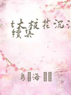 t大校花沉浮录续集