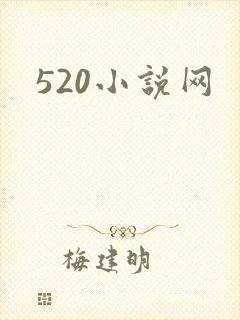 520小说网