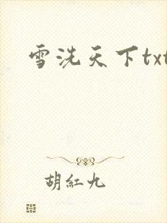 雪洗天下txt