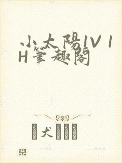 小太阳1V 1H笔趣阁