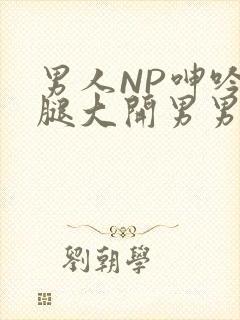 男人NP呻吟双腿大开男男小说