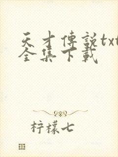 天才传说txt全集下载