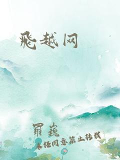 飞越网