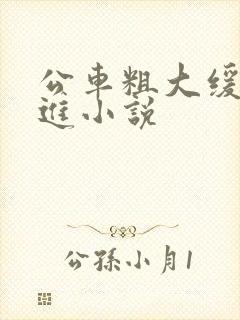 公车粗大缓缓挤进小说