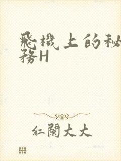 飞机上的秘密服务H