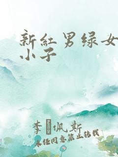 新红男绿女之坏小子