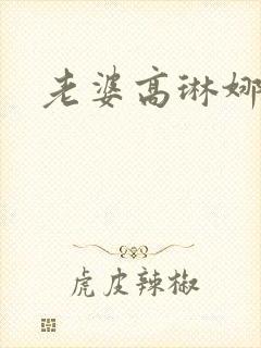 老婆高琳娜出轨