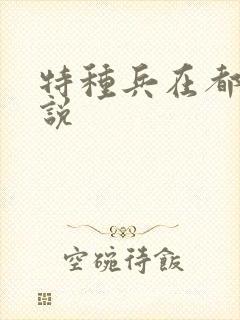 特种兵在都市小说