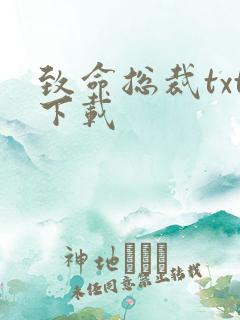 致命总裁txt下载